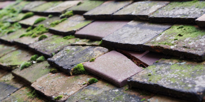 Long Ashton roof repair costs